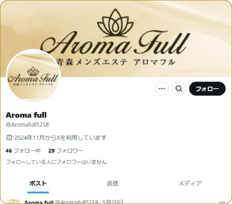公式X